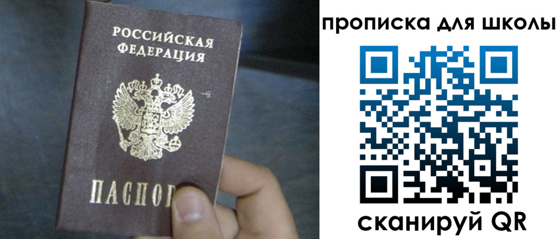 прописка поиск в Дальнереченске